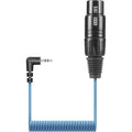 Câble micro enroulé court KA600 XLR femelle vers jack 3,5 mm pour Sennheiser MKE-600