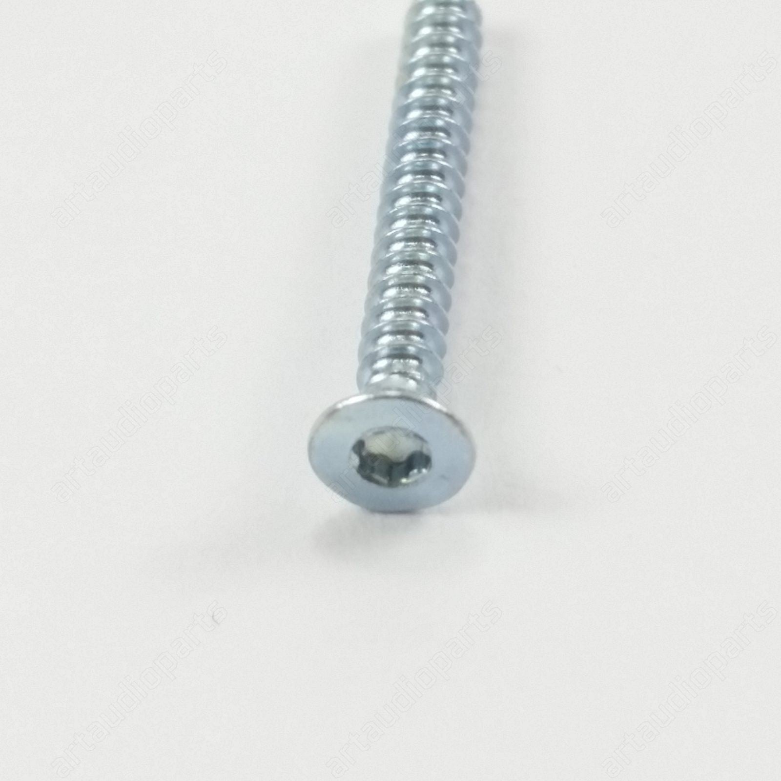 550253 Torx-Schraube T6 für Sennheiser Mikrofon MKE 600